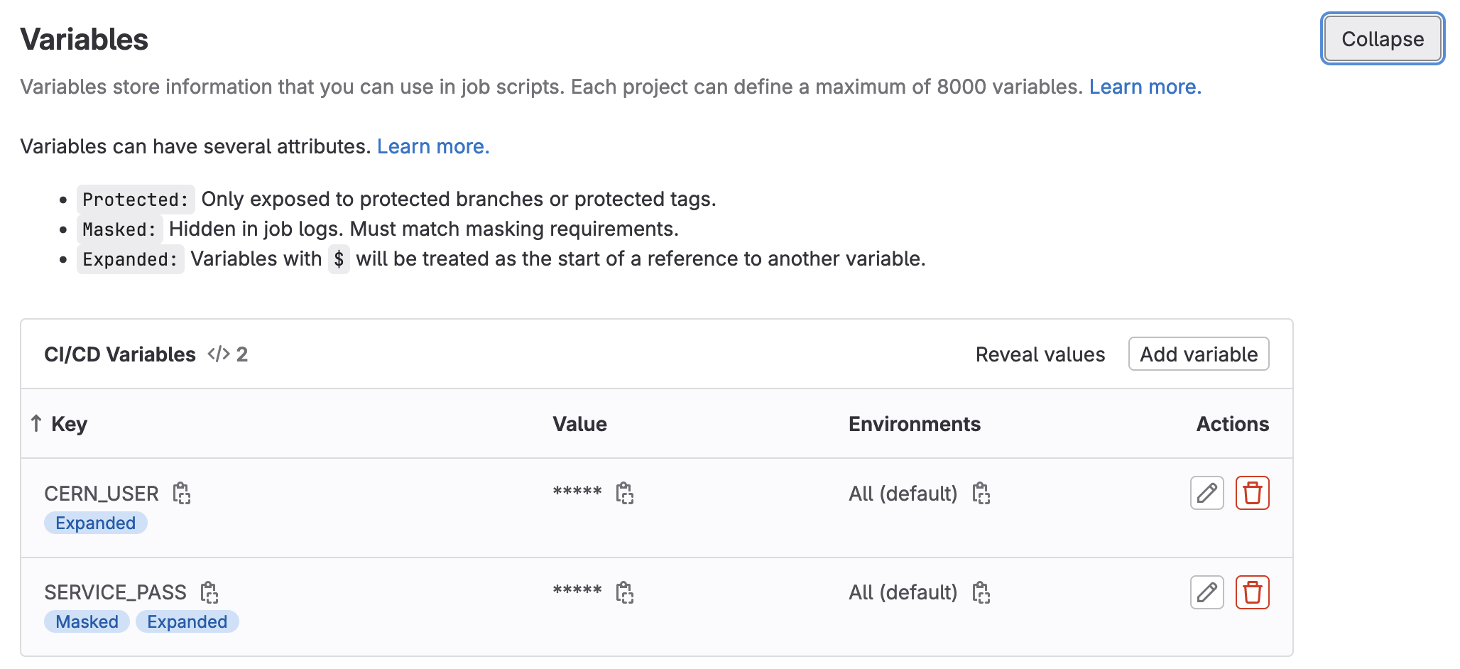 CI/CD Variables Specified